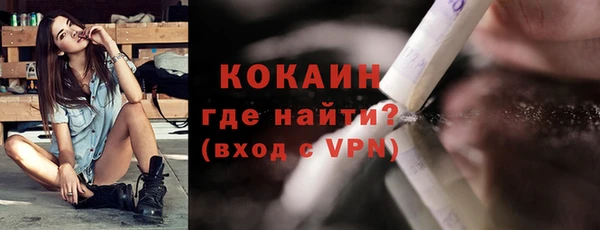 дживик Бородино