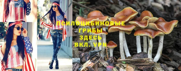 jwh Верея