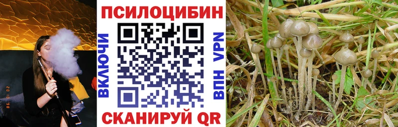 где найти наркотики  Семилуки  нарко площадка официальный сайт  Галлюциногенные грибы мухоморы 